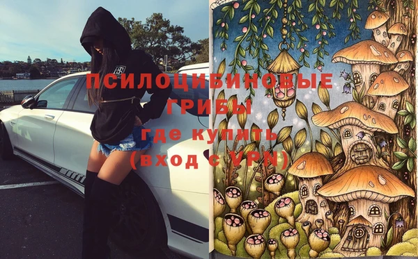 СК Липки
