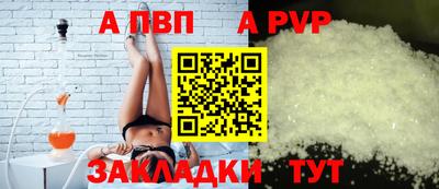 стаф Дубна