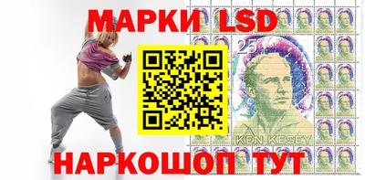 стаф Дубна