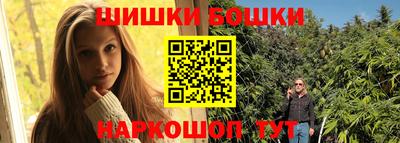 стаф Дубна