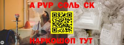 стаф Дубна