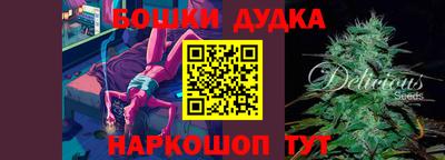 стаф Дубна