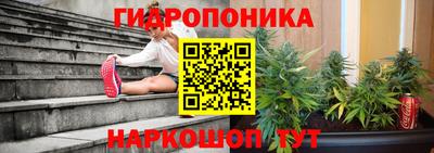 стаф Дубна