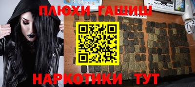 стаф Дубна