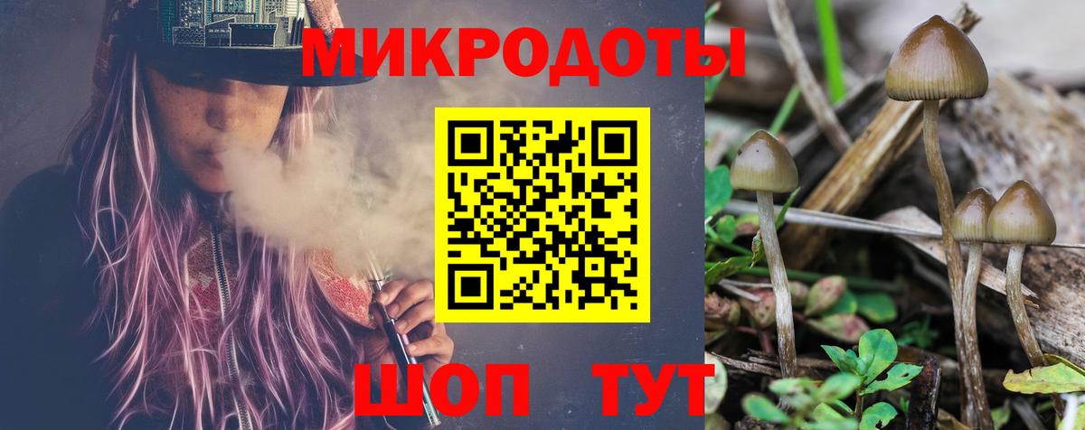 Псилоцибиновые грибы Psilocybe Людиново