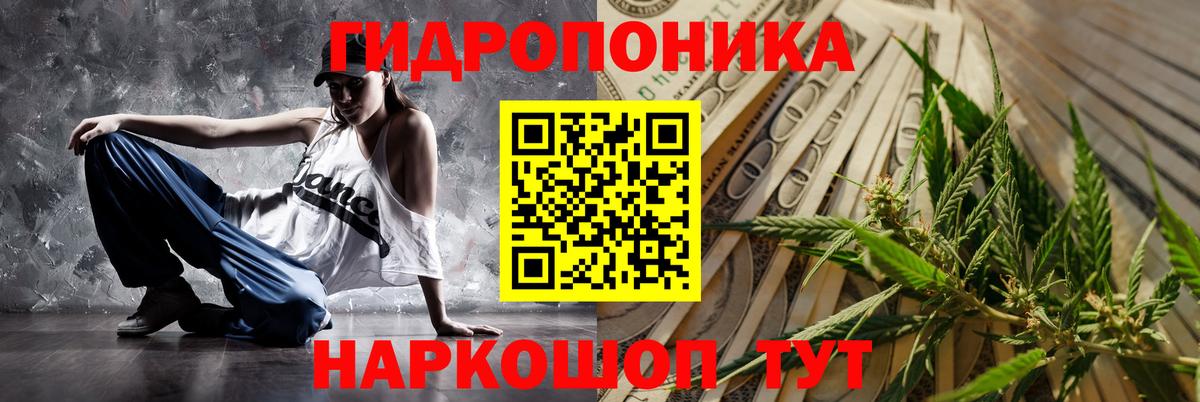 Бошки марихуана семена  Вход с VPN  Людиново  Марихуана планчик  Каннабис индика 